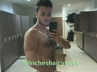 10incheshairycock