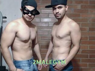 2MALEGYM