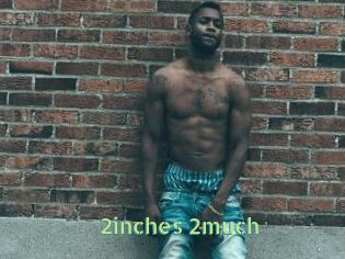 2inches_2much