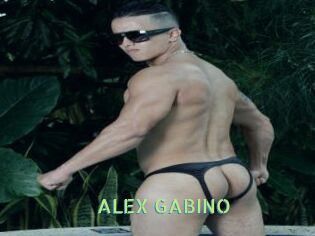 ALEX_GABINO