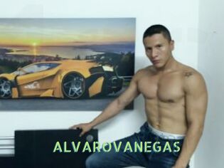 ALVAROVANEGAS