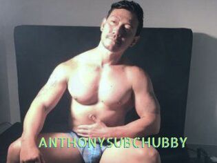 ANTHONYSUBCHUBBY