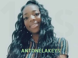 ANTONELAKEYS