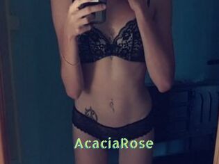 AcaciaRose