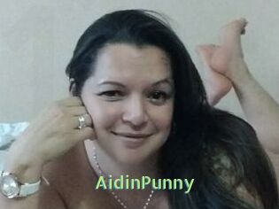 AidinPunny