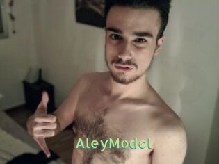 AleyModel