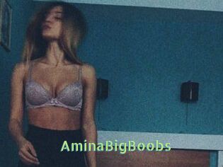 AminaBigBoobs