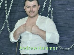 AndrewHammer