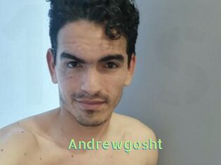 Andrewgosht