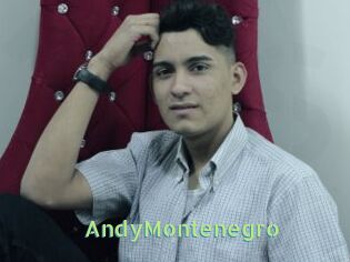 AndyMontenegro