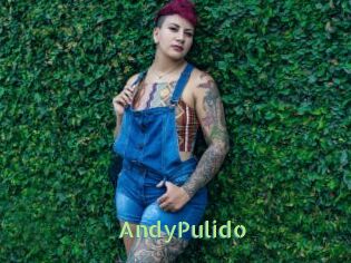 AndyPulido