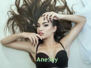 AneSky