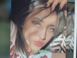 Aneu