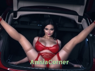 AnisiaCorner