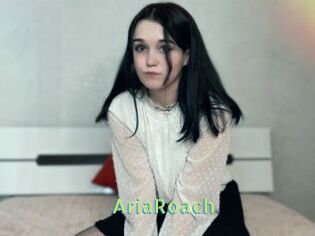 AriaRoach