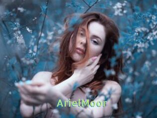 ArielMoor