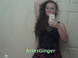 AriesGinger