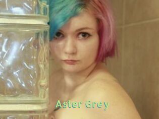 Aster_Grey
