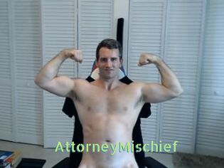 AttorneyMischief