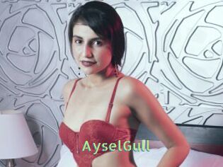 AyselGull