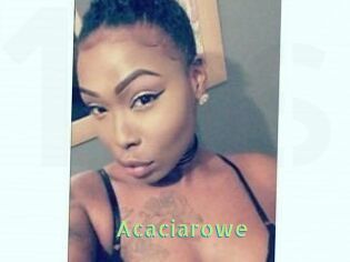 Acacia_rowe