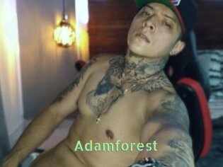 Adamforest