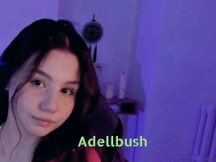 Adellbush