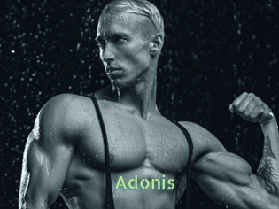 Adonis_