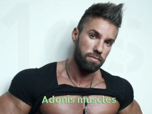 Adonis_muscles