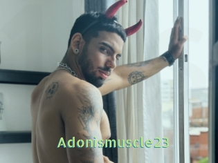 Adonismuscle23