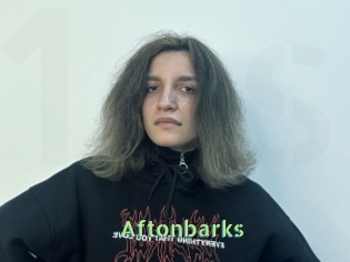 Aftonbarks