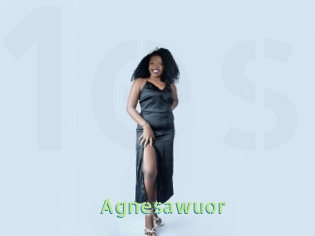 Agnesawuor