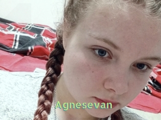 Agnesevan