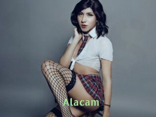 Alacam
