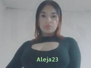 Aleja23