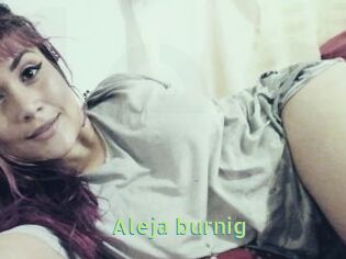Aleja_burnig