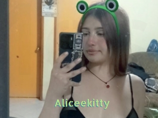 Aliceekitty