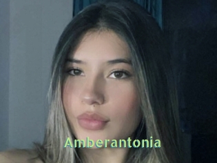 Amberantonia
