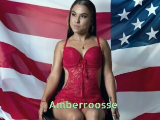 Amberroosse