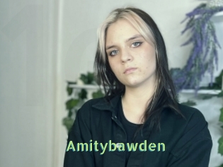 Amitybawden