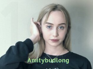 Amitybudlong