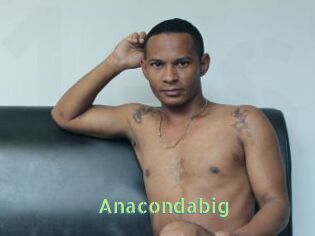 Anacondabig