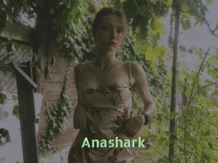 Anashark