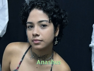 Anashus