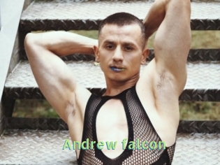 Andrew_falcon