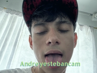 Andreyestebancam