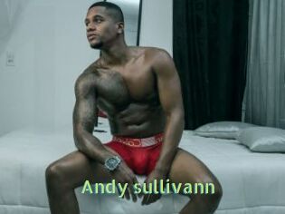 Andy_sullivann