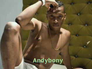 Andybony