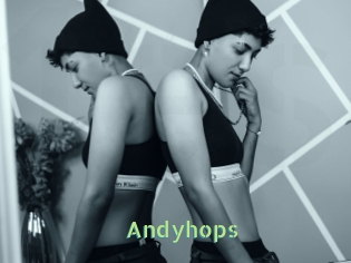 Andyhops