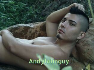 Andylatinguy